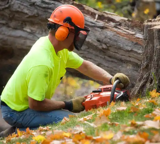 tree services Benton Heights